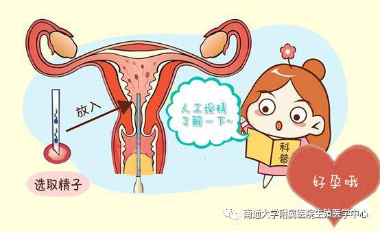 妊娠伴随综合征孕吐