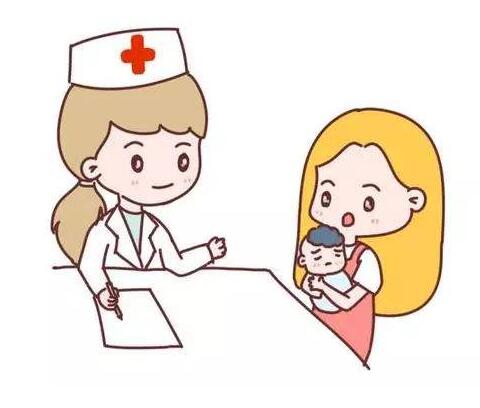 妊娠的开始