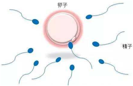 妊娠