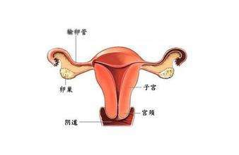 妊娠
