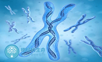 妊娠期糖尿病