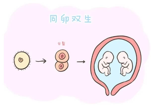 妈妈生日文案四句简短