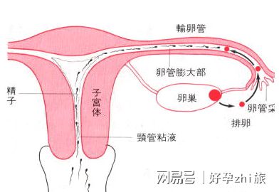 轻度抑郁