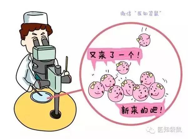 怀孕初期症状
