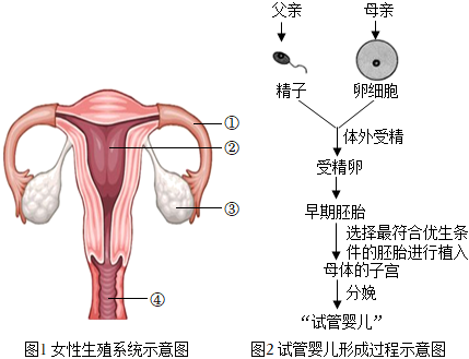 妇幼保健院