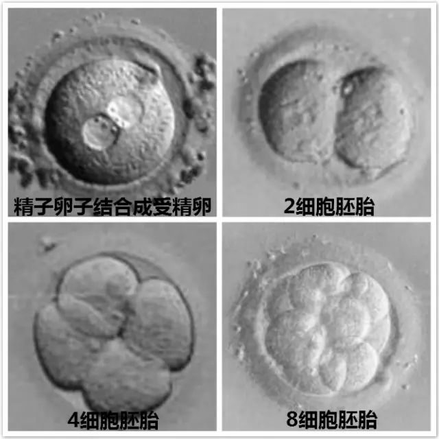 咖啡