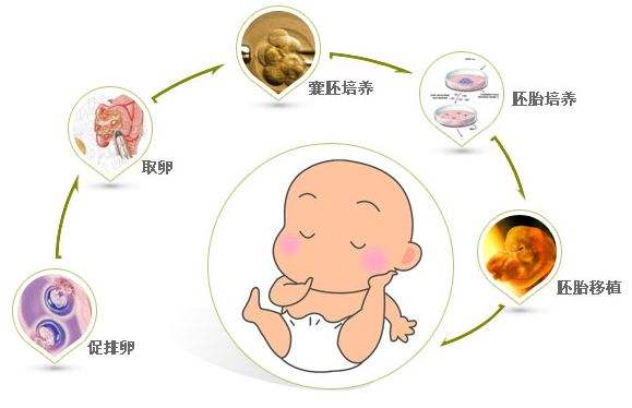新手妈妈