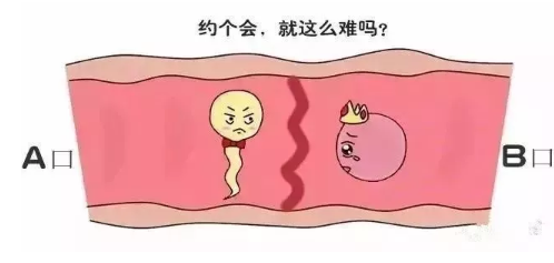 孕期周期
