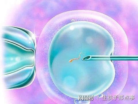 广州正规捐卵得多少钱