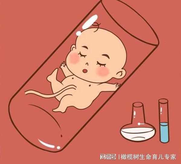 广州正规捐卵得多少钱