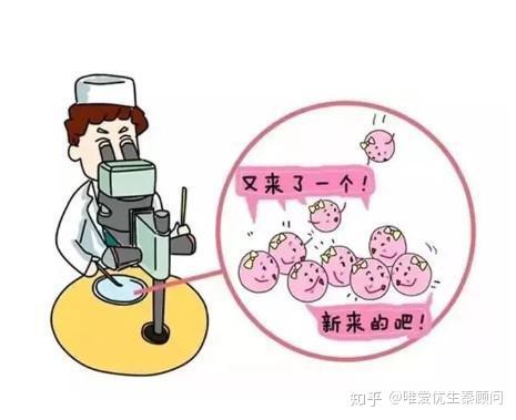 广安有偿招聘捐卵女孩