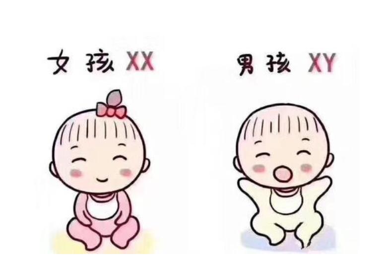 广安捐卵公司
