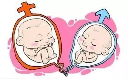 广元招聘捐卵女孩机构