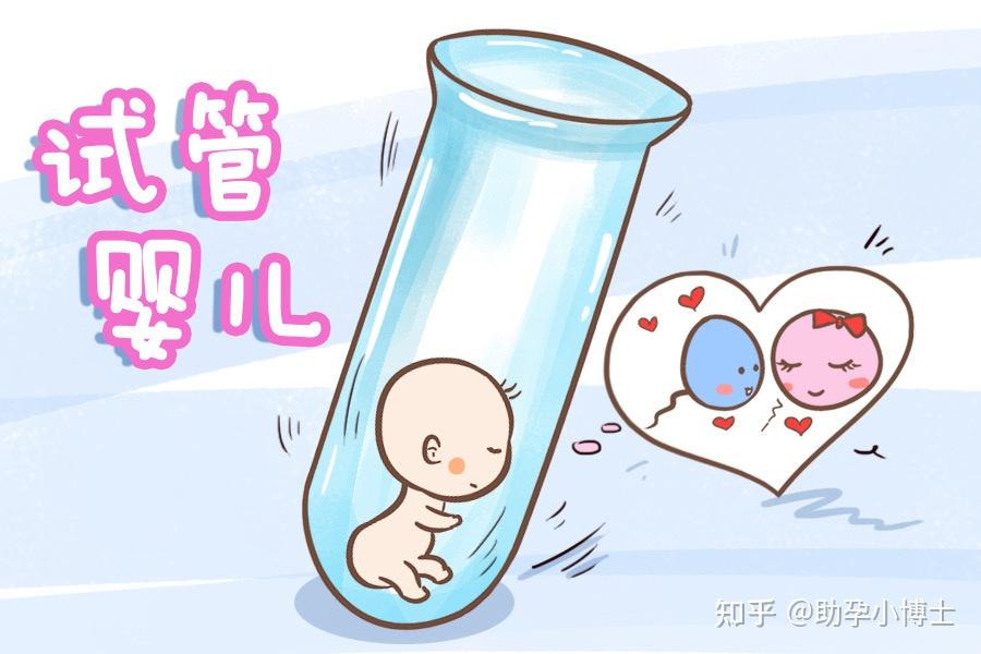 广州捐卵公司