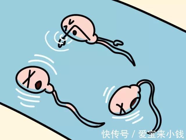 广州捐卵网