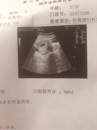广州供卵生子